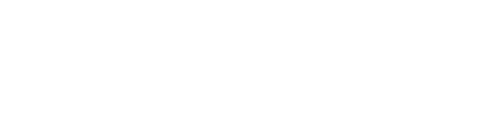 Bradford White Corporation Logo Footer